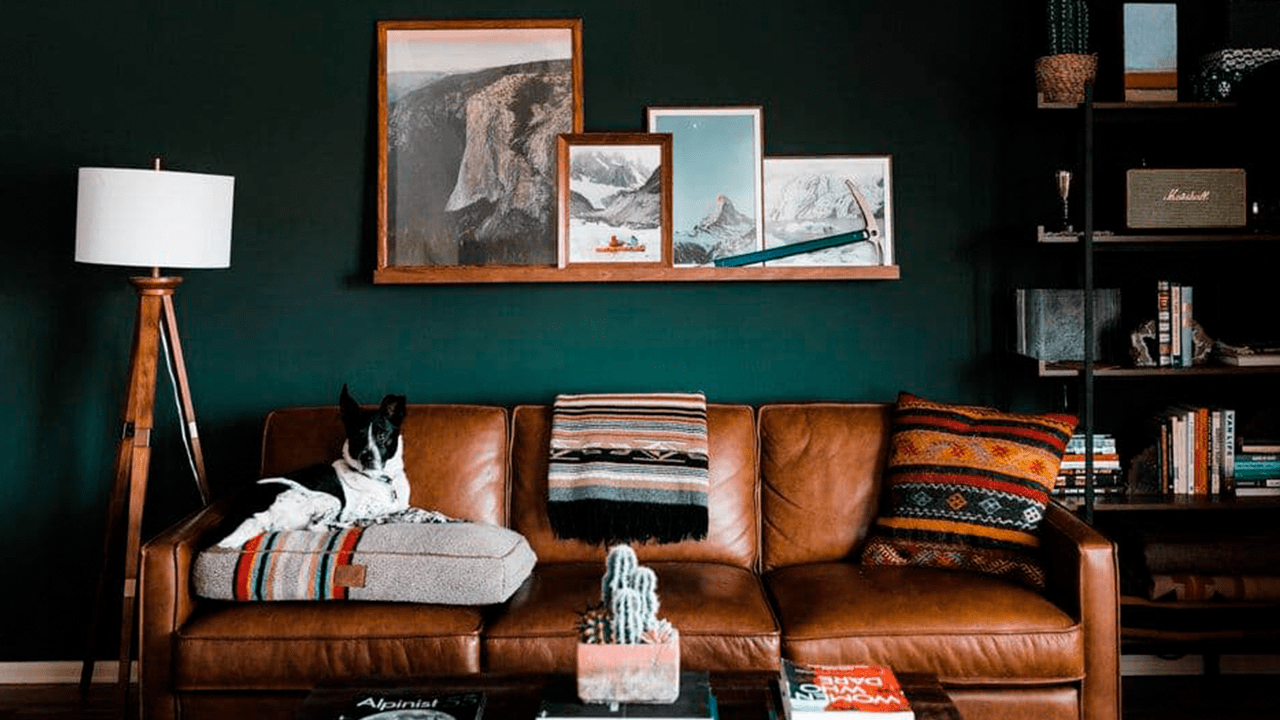 Зеленые шторы в интерьере гостиной — фото современного оформления